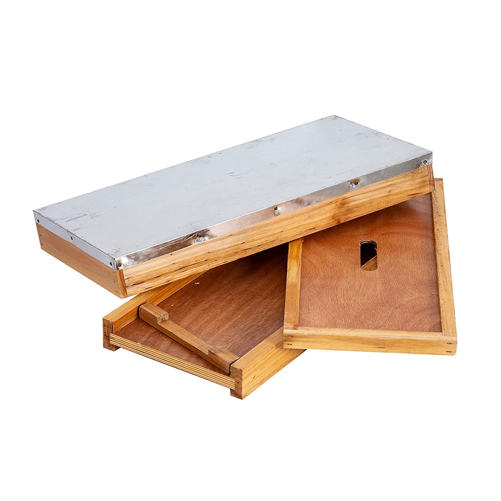 BeeCastle 5 Frame Bee Hive Nuc Box - 100% Beeswax Coated with Frames & Waxed Foundations | Starter Kit for Beekeeping, Honey Production & Pollination Gardens