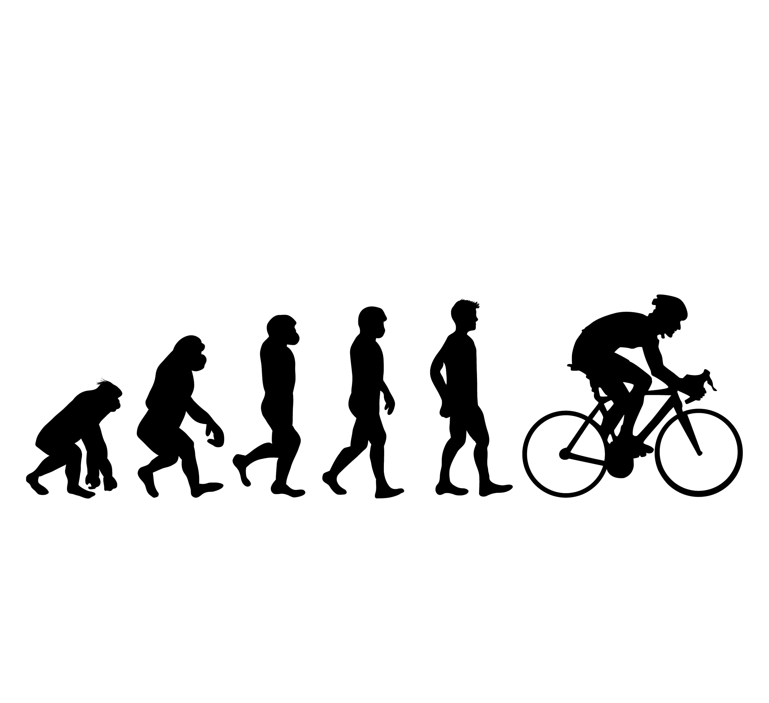 Cycling Evolution Vinyl Car Sticker - Waterproof Bicycle Decal for Cars, Trucks & Laptops - Perfect Gift for Cyclists & Outdoor Enthusiasts (Great for Road Trips, Commuting & Cycling Events)