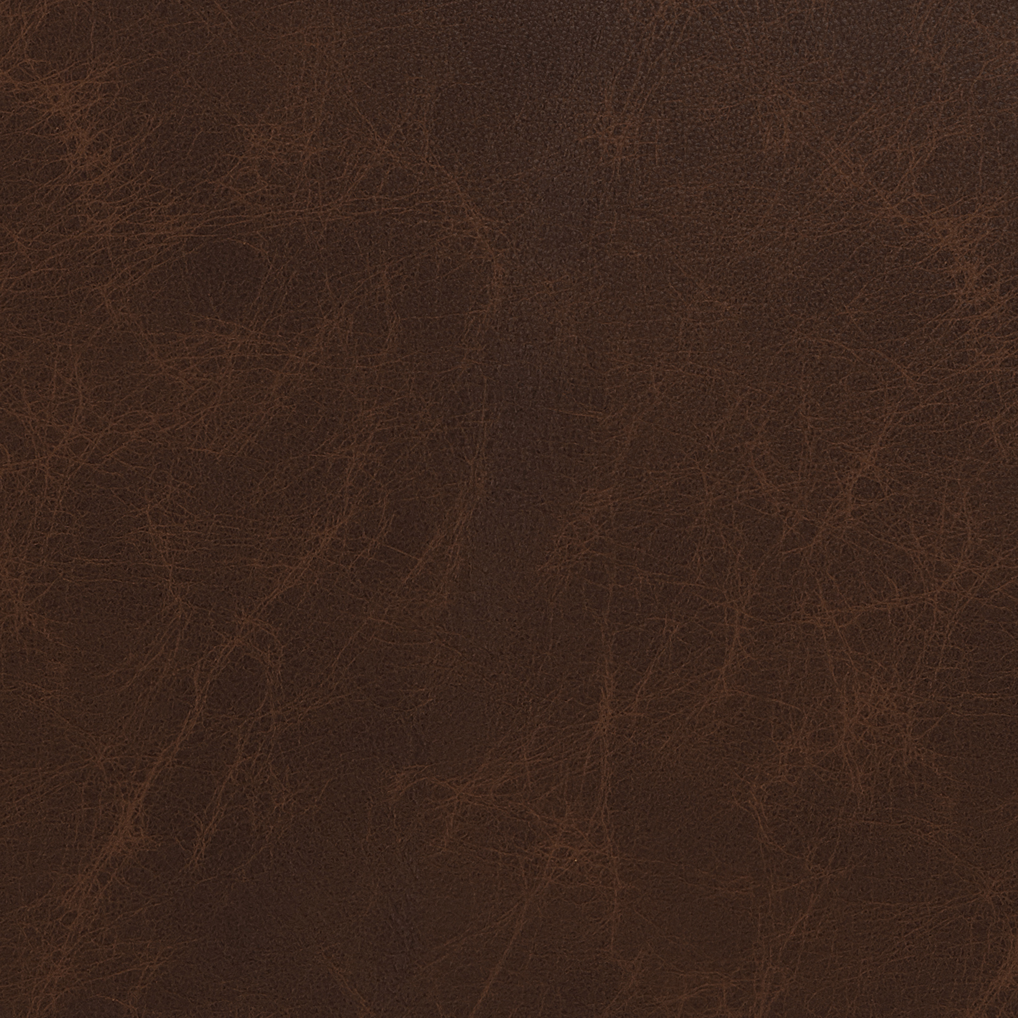 Premium Genuine Leather Raf Chair - Modern Dining & Living Room Accent Furniture for Home & Office Decor
