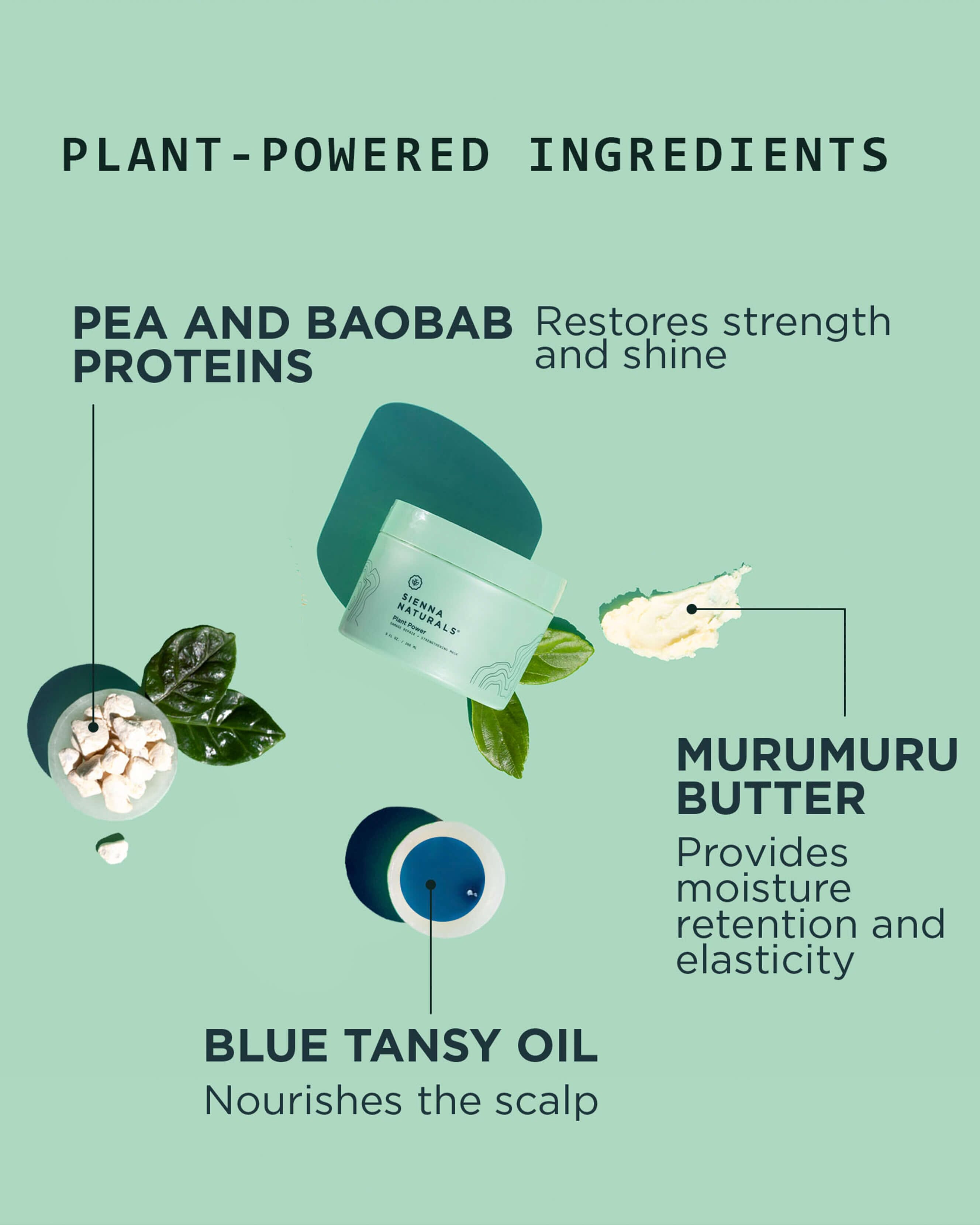 Plant Power Mask - Organic Face Mask for Glowing Skin | Hydrating & Nourishing | Perfect for Daily Skincare & Spa Days