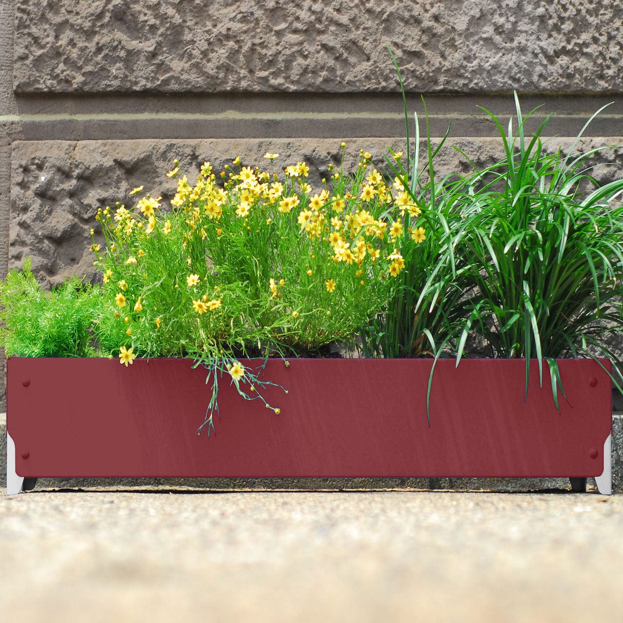 BOLTON Wide Planter Set of 4 - Large Indoor Outdoor Flower Pots for Plants, Succulents & Herbs - Perfect for Patio, Garden, Balcony & Home Decor