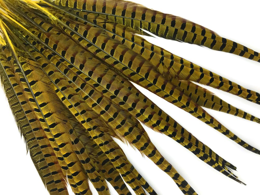 50 Pieces Natural Long Ringneck Pheasant Tail Feathers - Yellow Dyed Bulk Wholesale (18-22