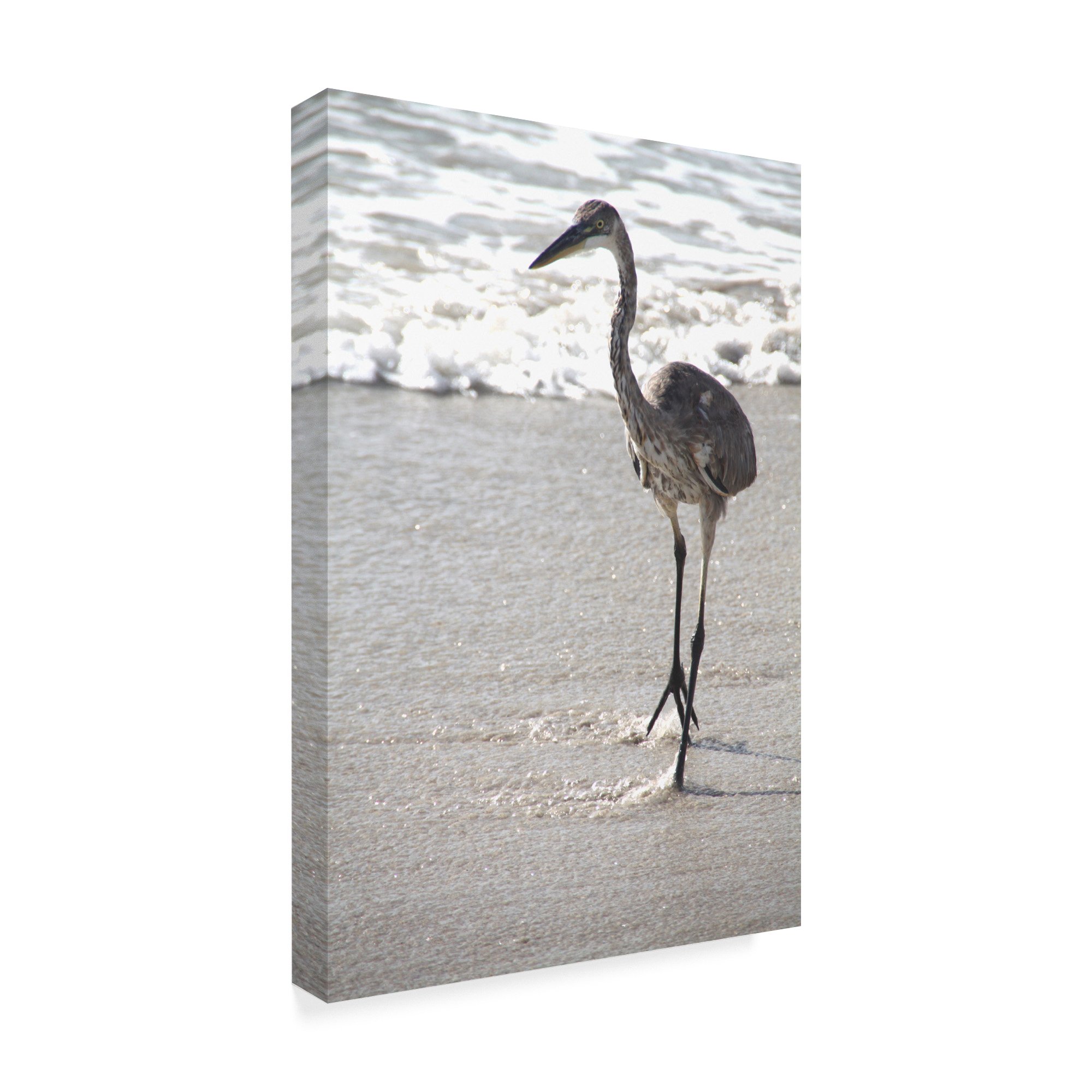 Robert Michaud Great Blue Heron Beach Wall Art - 30x47 Inch Coastal Decor Painting - Perfect for Living Room, Bedroom or Beach House Decor