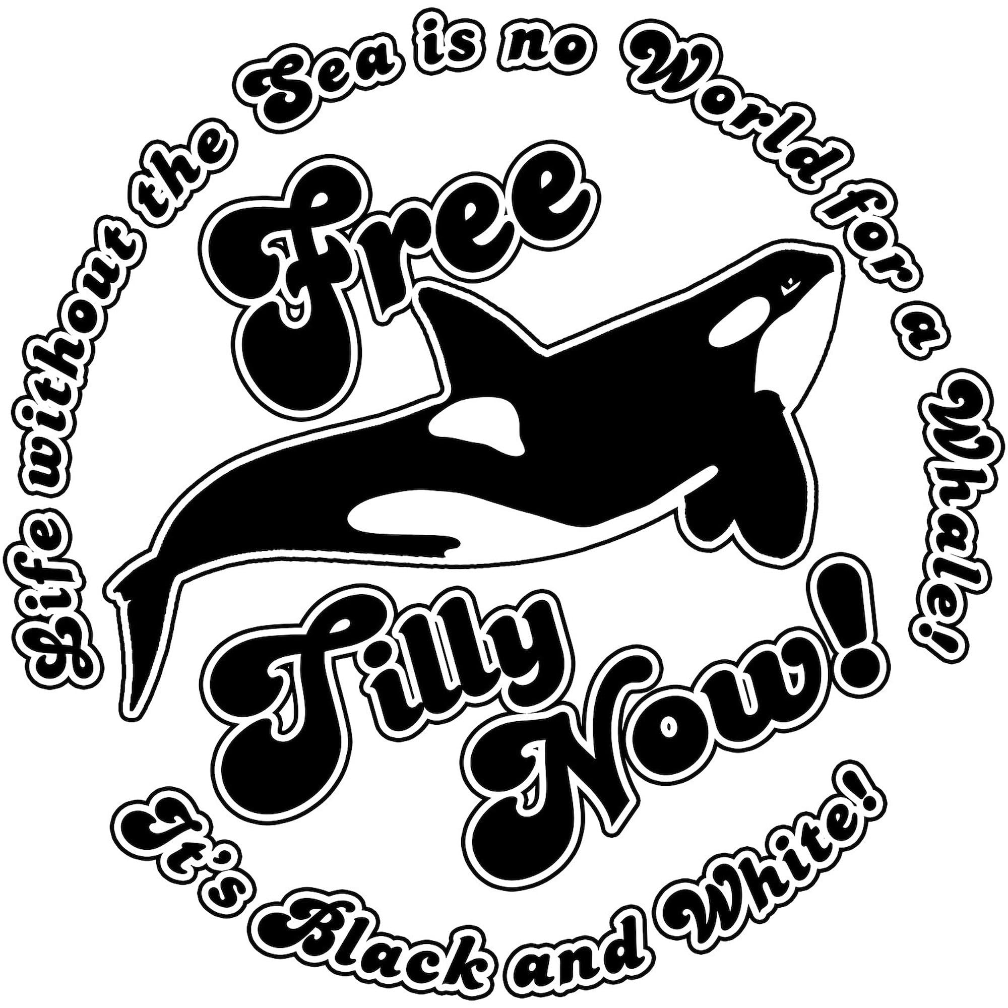 Free Tilly Now Black Square Bumper Sticker - Car Decal for Windows, Laptops & Water Bottles - Political Statement & Personal Expression