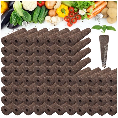 Black 100Pcs