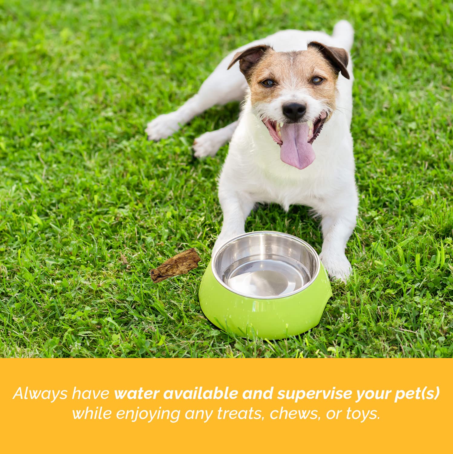 Premium Beef Knee Caps for Dogs – 3 Count, All-Natural Grass-Fed Knee Bone Treats | High-Protein, Easily Digestible Dog Chews | Perfect for Training Rewards, Dental Health & Long-Lasting Chewing Fun