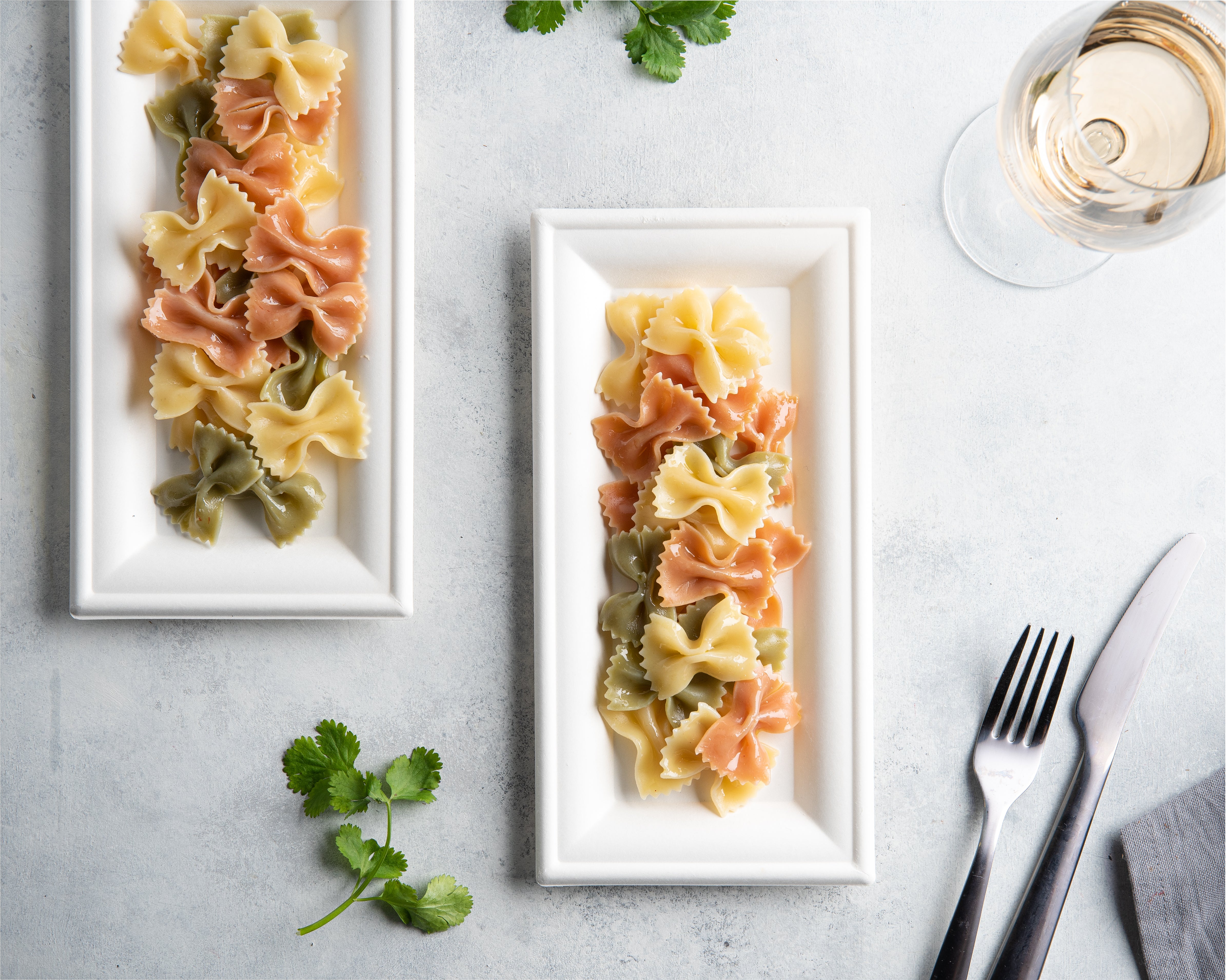 Eco-Friendly 100% Compostable Rectangle Paper Plates - 5