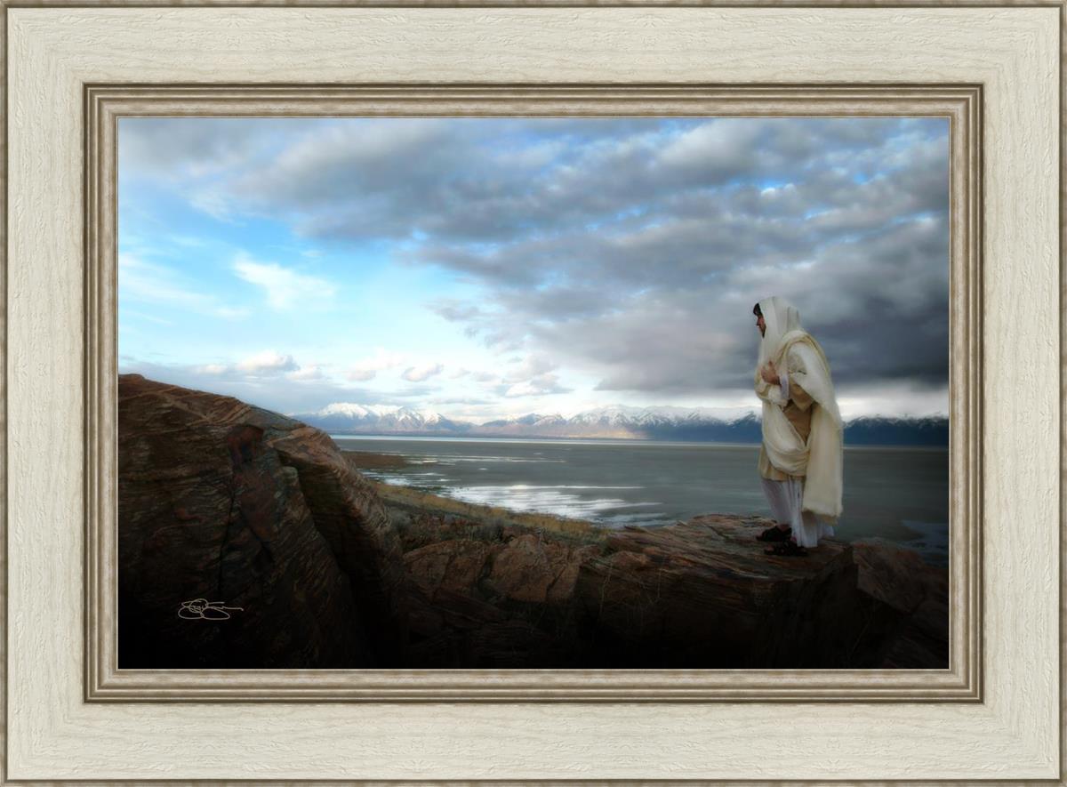 Alone Shepherd Book by Scott Sumner - Inspirational Christian Fiction for Personal Growth & Faith Journey | Perfect for Book Clubs, Bible Study Groups & Quiet Reflection Time
