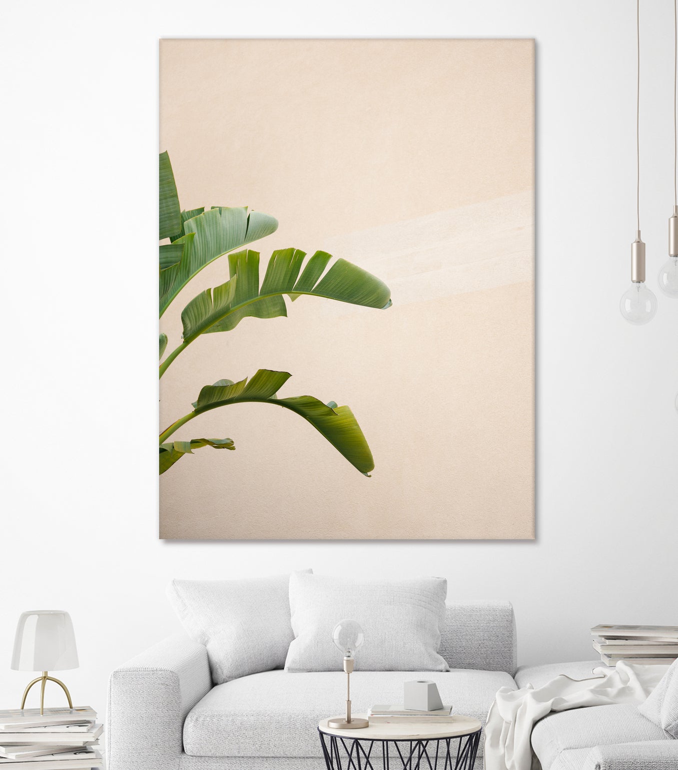 Fresh Cannes Banana Plant - Live Tropical Fruit Tree for Home Garden, Indoor & Outdoor Planting - Perfect for Landscaping, Patio Decor, and Fruit Harvesting