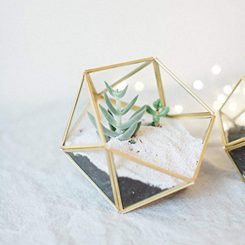Glass Geometric Terrarium Box - Jewelry Holder & Succulent Planter for Home Decor (Black/Gold, No Plant Included) | Perfect for Tabletop Display, Wedding Centerpieces, and Office Desk Decor