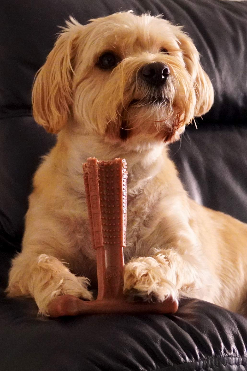 Bamboodles T-Bone Dog Chew - Natural Long-Lasting Dental Treat for Aggressive Chewers - Small Chicken Flavor - Perfect for Teething Puppies & Strong Chewers - Promotes Dental Health & Reduces Anxiety