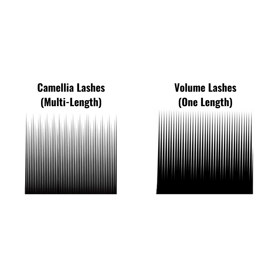 Premium Camellia Mix Tray Lashes - Natural Looking False Eyelashes for Dramatic Volume & Length - Perfect for Parties, Weddings & Special Occasions