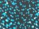 Multi Dot