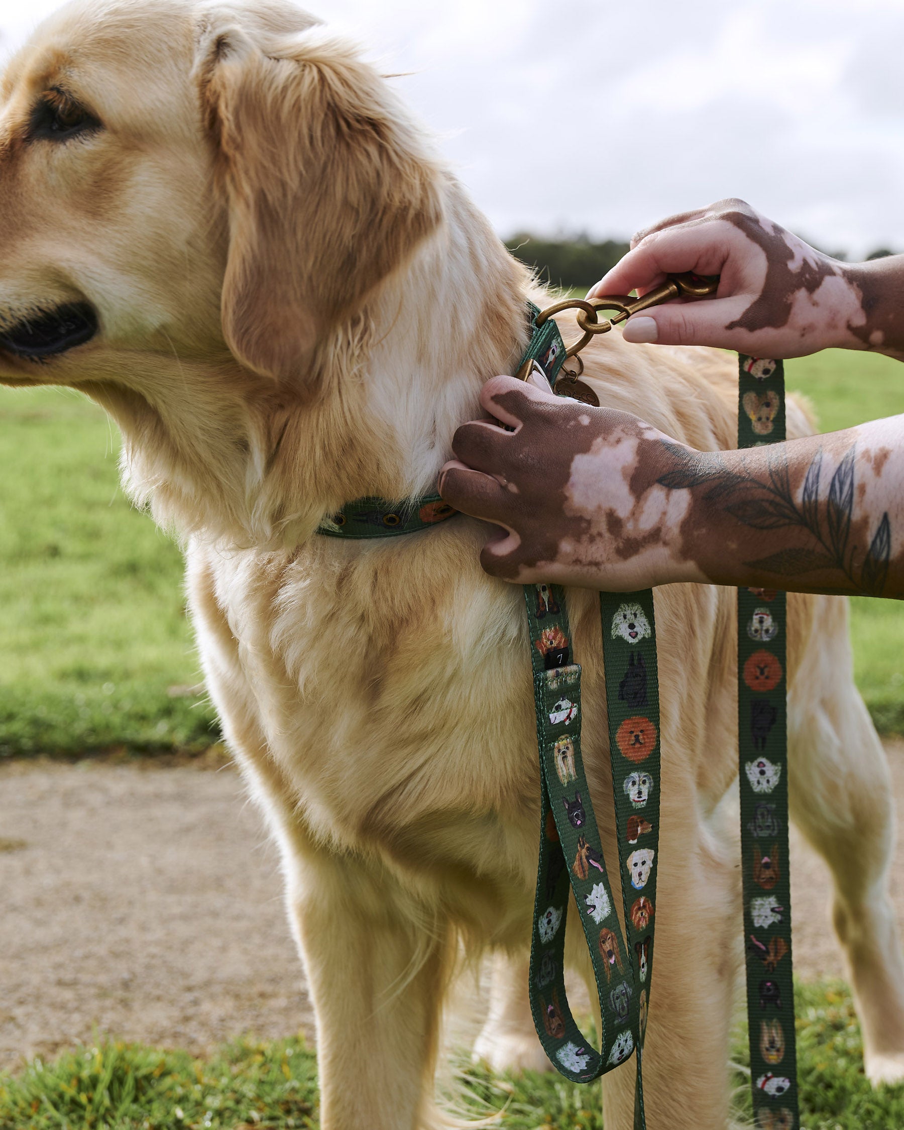 Premium Dog Leash for Dog Parks - Heavy Duty & Reflective - Perfect for Active Dogs, Training & Outdoor Adventures
