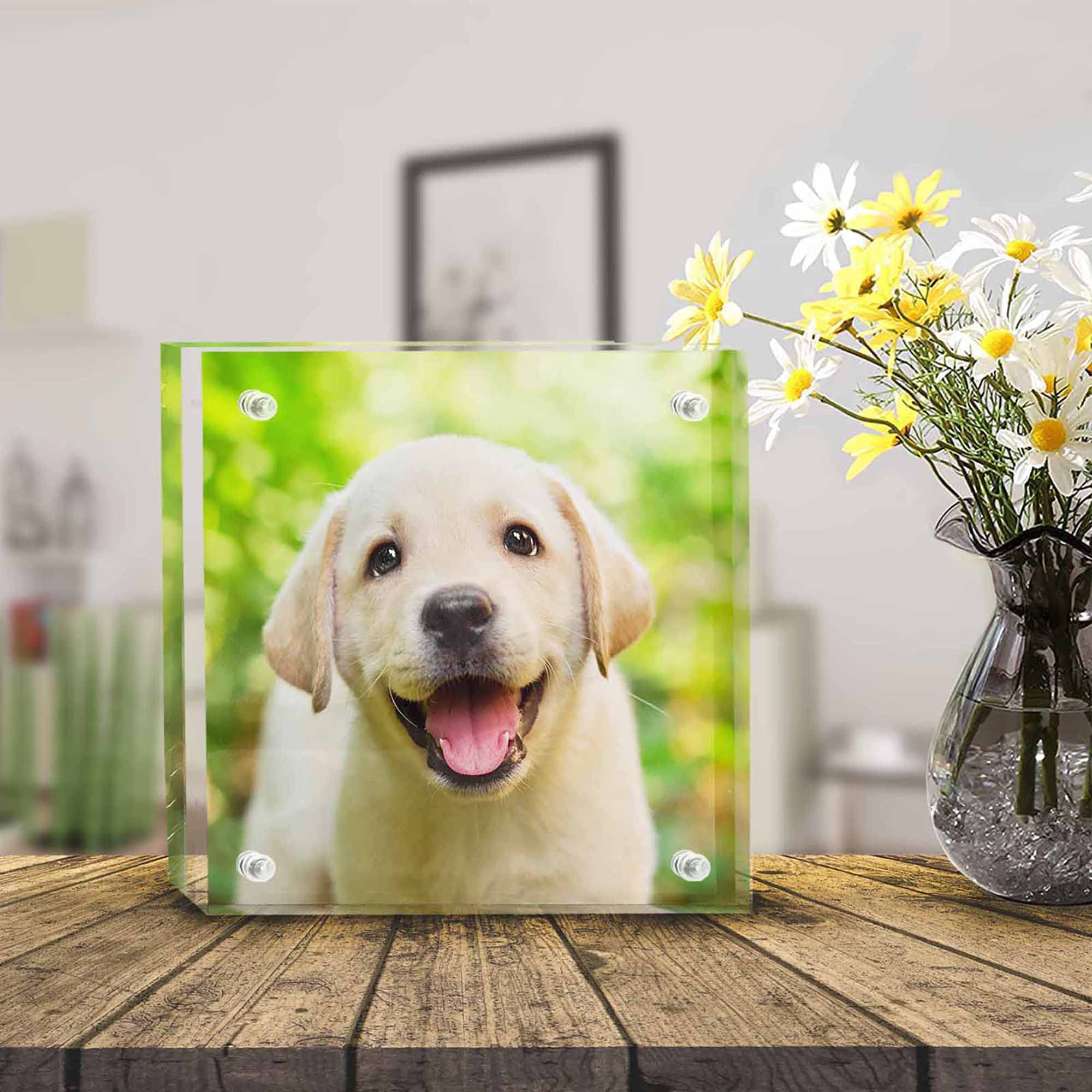 Custom 5x5 Acrylic Photo Frame - Double Sided Magnetic Display for Pets, Gifts