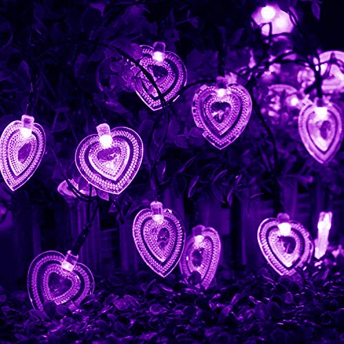 Heart Shaped-Purple