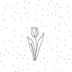 One Line Art Tulip