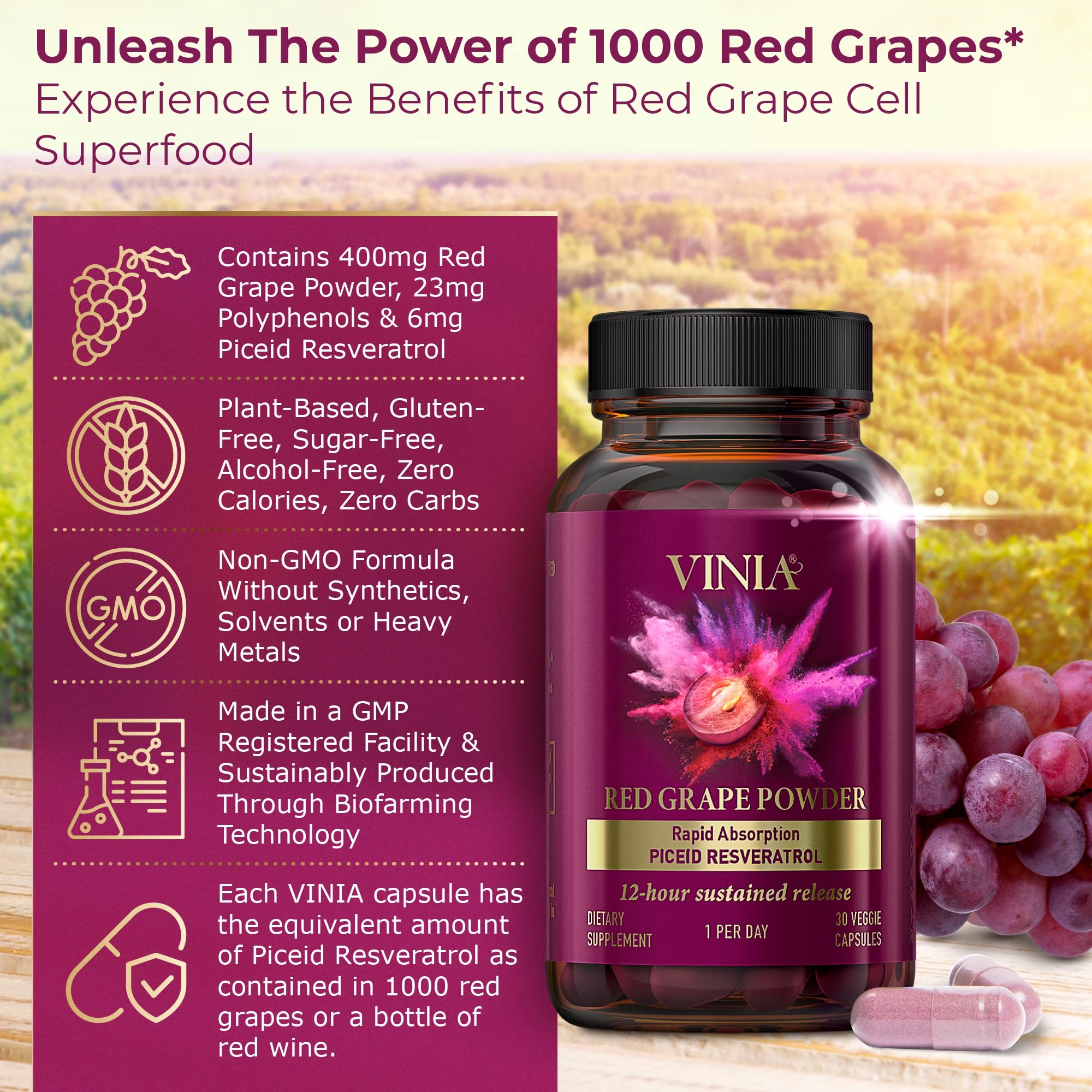 12-Hour Long-Lasting Piceid Resveratrol Supplement | Nitric Oxide Booster for Heart Health & Blood Flow | Vegan Non-GMO Superfood Powder | Keto-Friendly Oxygen Support | 60-Day Supply | Perfect for Active Lifestyles & Cardiovascular Wellness