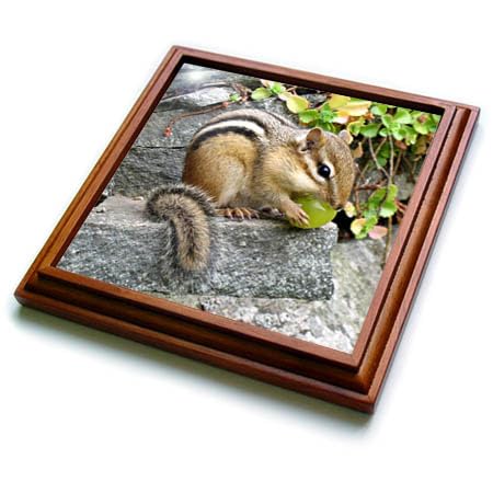 3D Rose Chipmunk Trivet with Ceramic Tile - 8 x 8 Inch Brown Heat Resistant Coaster for Kitchen, Dining Table, and Home Decor