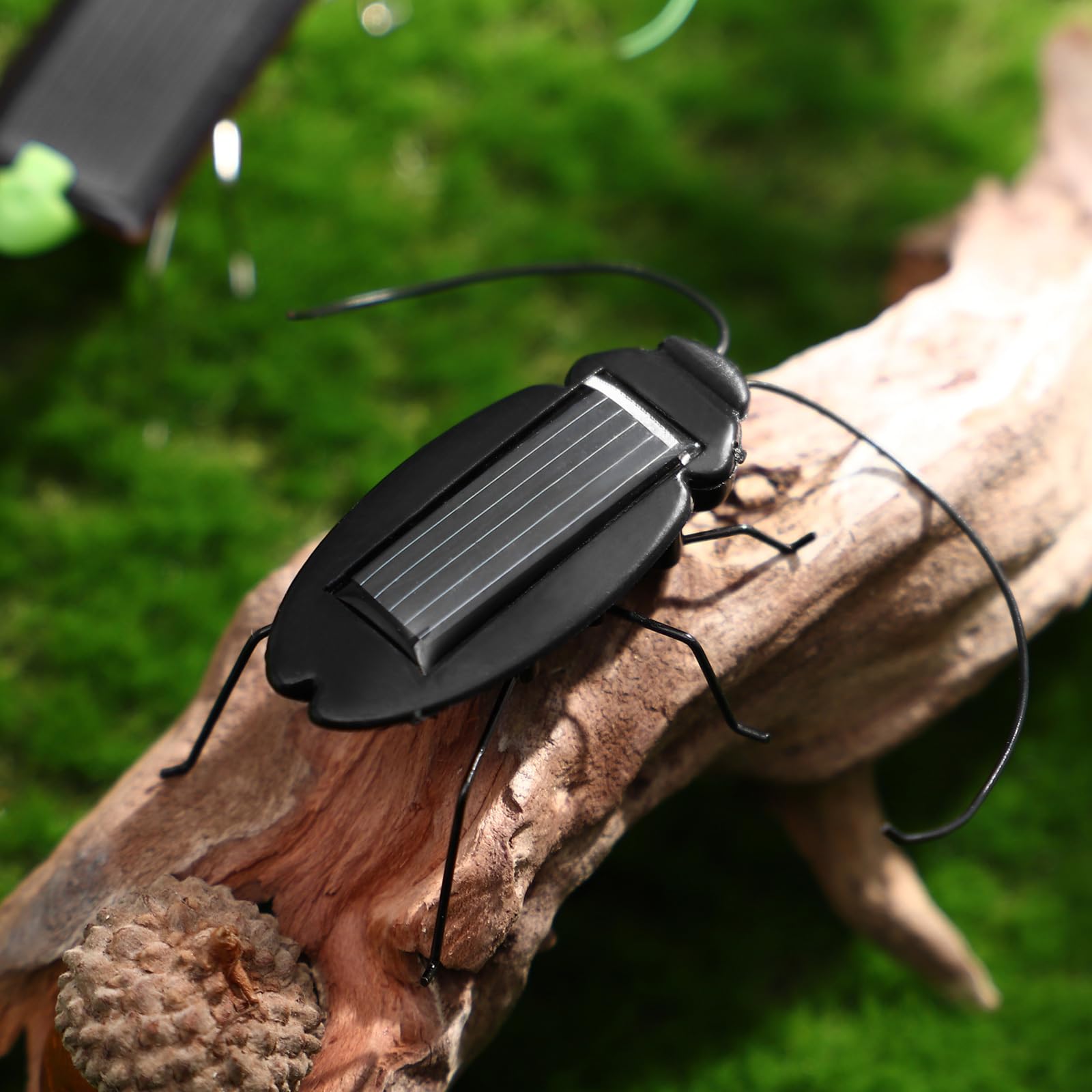 6PCS Solar Powered Insect Toys - Lifelike Moving Crickets & Grasshoppers for Kids, Boys & Girls - Educational Solar Science Toys for School Projects & Outdoor Play - Fun Fake Roaches for Nature Exploration & STEM Learning