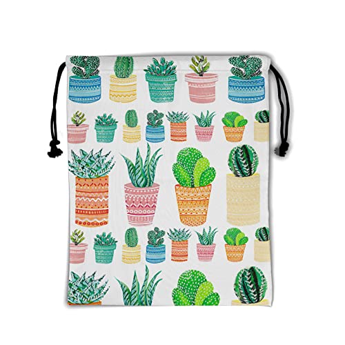 Colorful Cactus