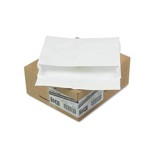 **DuPont Tyvek QUAR4430 Heavyweight Open-End Envelopes, 10