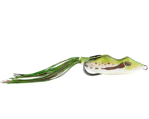 Pine Frog