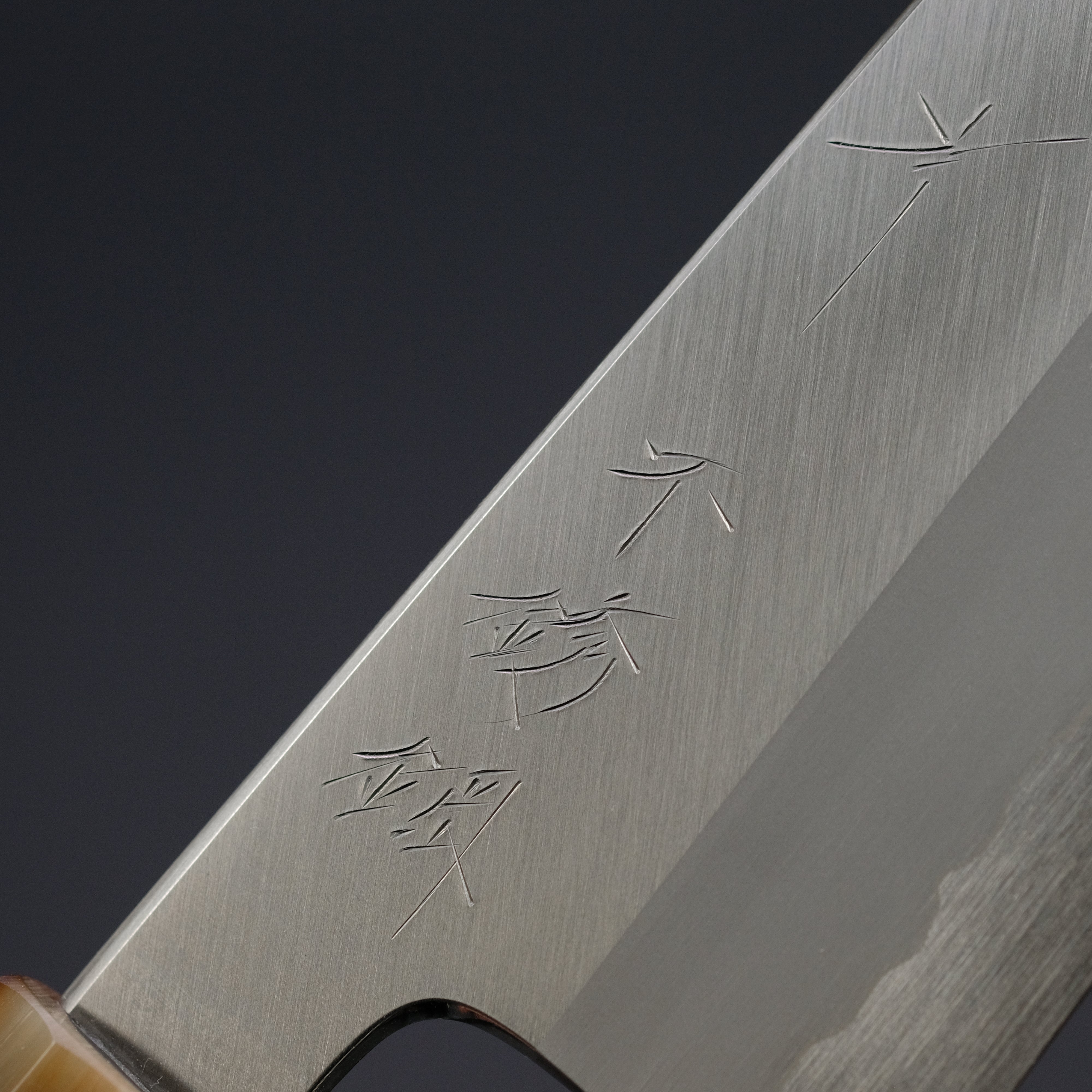 Hitohira Tanaka Kyuzo Blue #1 Stainless Clad Gyuto 240mm Japanese Chef Knife with Taihei Ebony Handle - Perfect for Sushi, Meat Slicing & Professional Kitchen Use