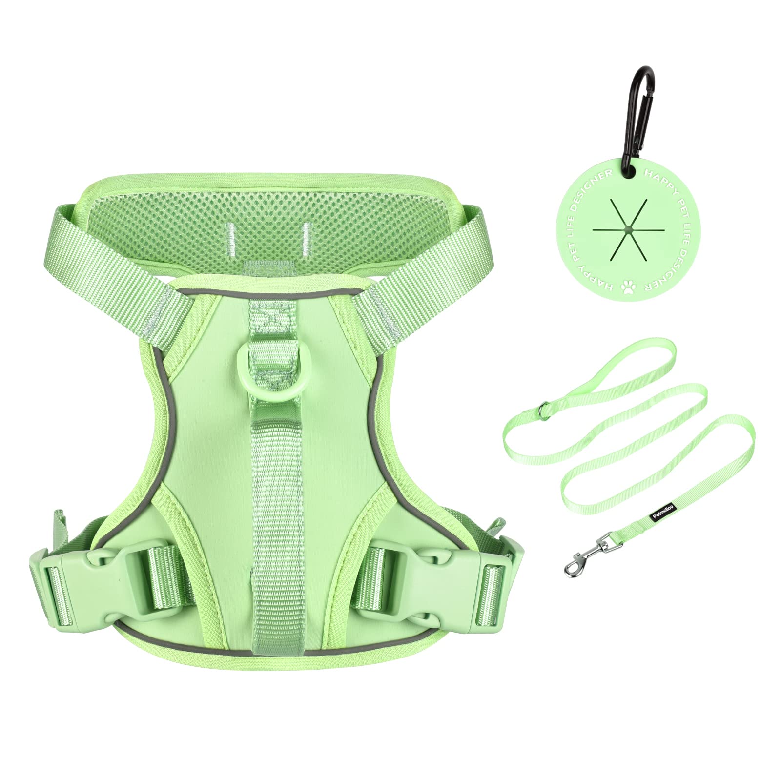 Petmolico Small Dog Harness - Cute Reflective Puppy Vest with 2 Leash Clips & Soft Handle for Easy Walking (Mint Green, Small) | Perfect for Daily Walks, Training & Outdoor Adventures