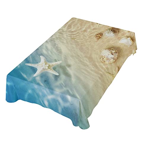 Y Starfish and Seashell Beach