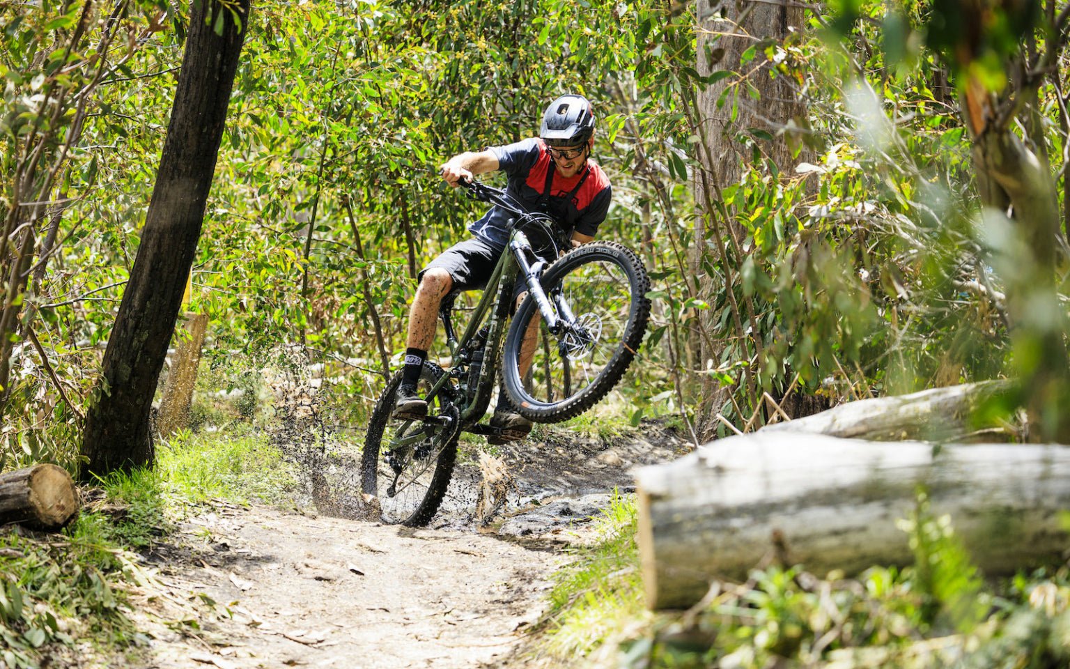 Polygon Collosus N9 Mountain Bike - 29