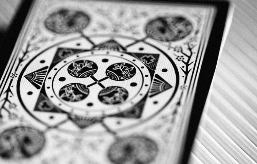 Tally Ho Viper Fan Back Playing Cards - Premium Poker & Magic Trick Deck for Cardistry, Games, and Collectors | Perfect for Poker Nights, Magic Shows, and Card Flourishing