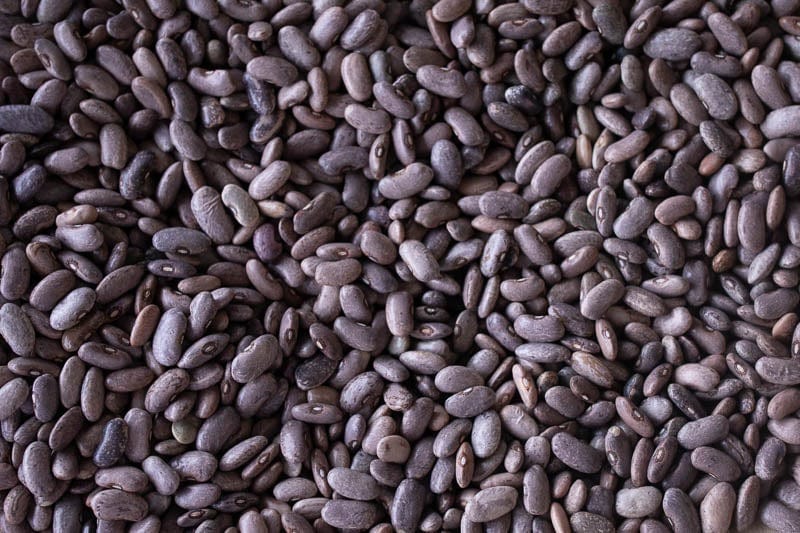 Rancho Gordo Rebosero Beans 1 lb | Premium Heirloom Mexican Beans | Perfect for Soups, Stews & Traditional Mexican Dishes