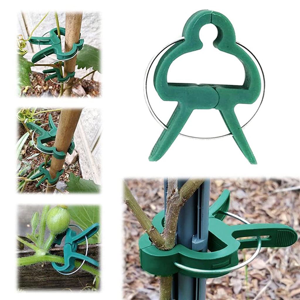 100PCS Plant Support Clips - Garden Flower Stem Clips for Orchids, Vines & Grafting - Heavy Duty Plant Stake Connectors for Outdoor Gardening & Greenhouse Use