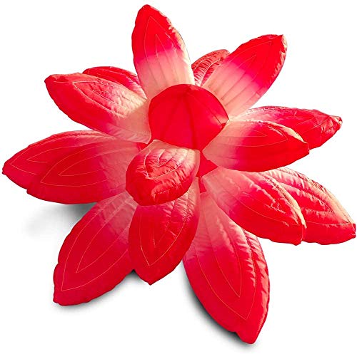 Flower 8