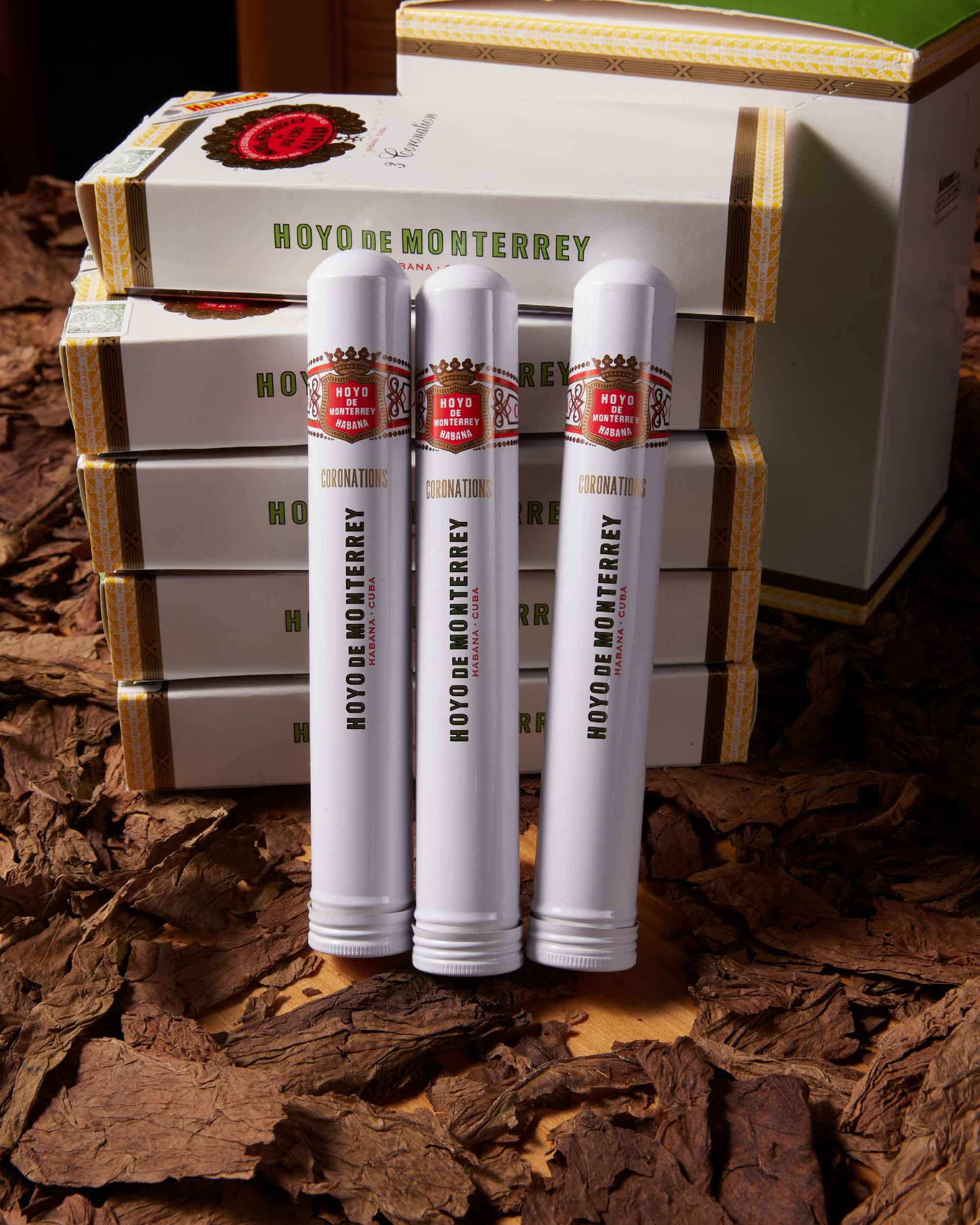 Hoyo de Monterrey Coronation Tubos Cigars - 2013 Vintage | Premium Cuban Cigars for Special Occasions & Celebrations