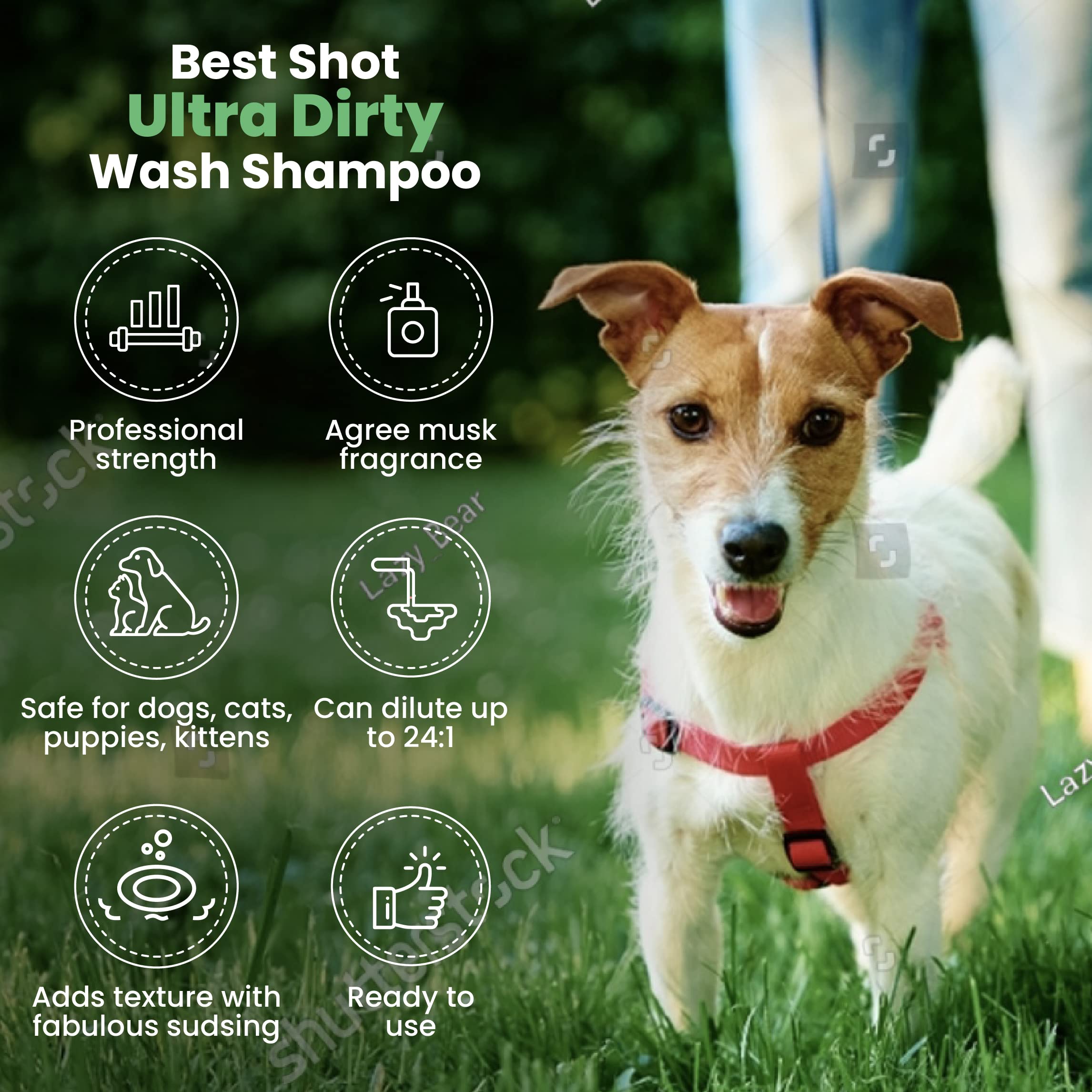 Best Shot Ultra Dirty Wash Shampoo for Horses - 16 oz | Deep Cleaning & Detangling Formula | Perfect for Show Prep, Post-Workout & Muddy Coat Care