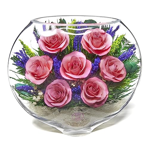 Serenade Pink
