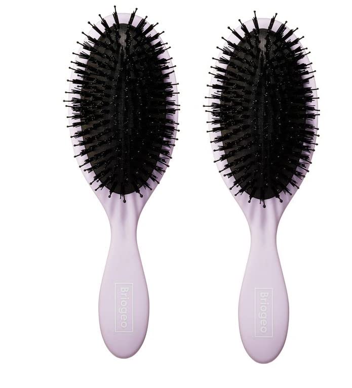 TINY DEAL Hair Brush Set of 2 - Detangling Brush for All Hair Types (Long, Short, Thick, Thin, Curly, Wavy, Straight) - Multi Color Hairbrush for Smooth & Shiny Hair - Perfect for Home, Travel & Salon Use