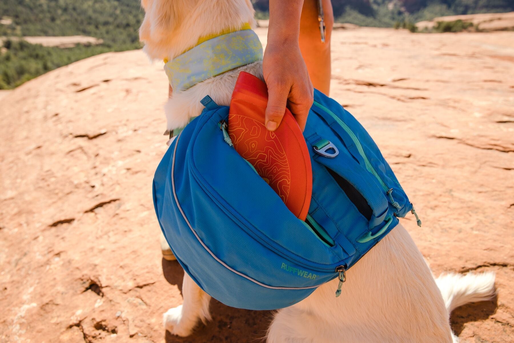 Ruffwear® Camp Flyer Disco & Plate Dog Bowl - Phosphorescent Green (Lichen Green) for Camping, Hiking & Outdoor Adventures