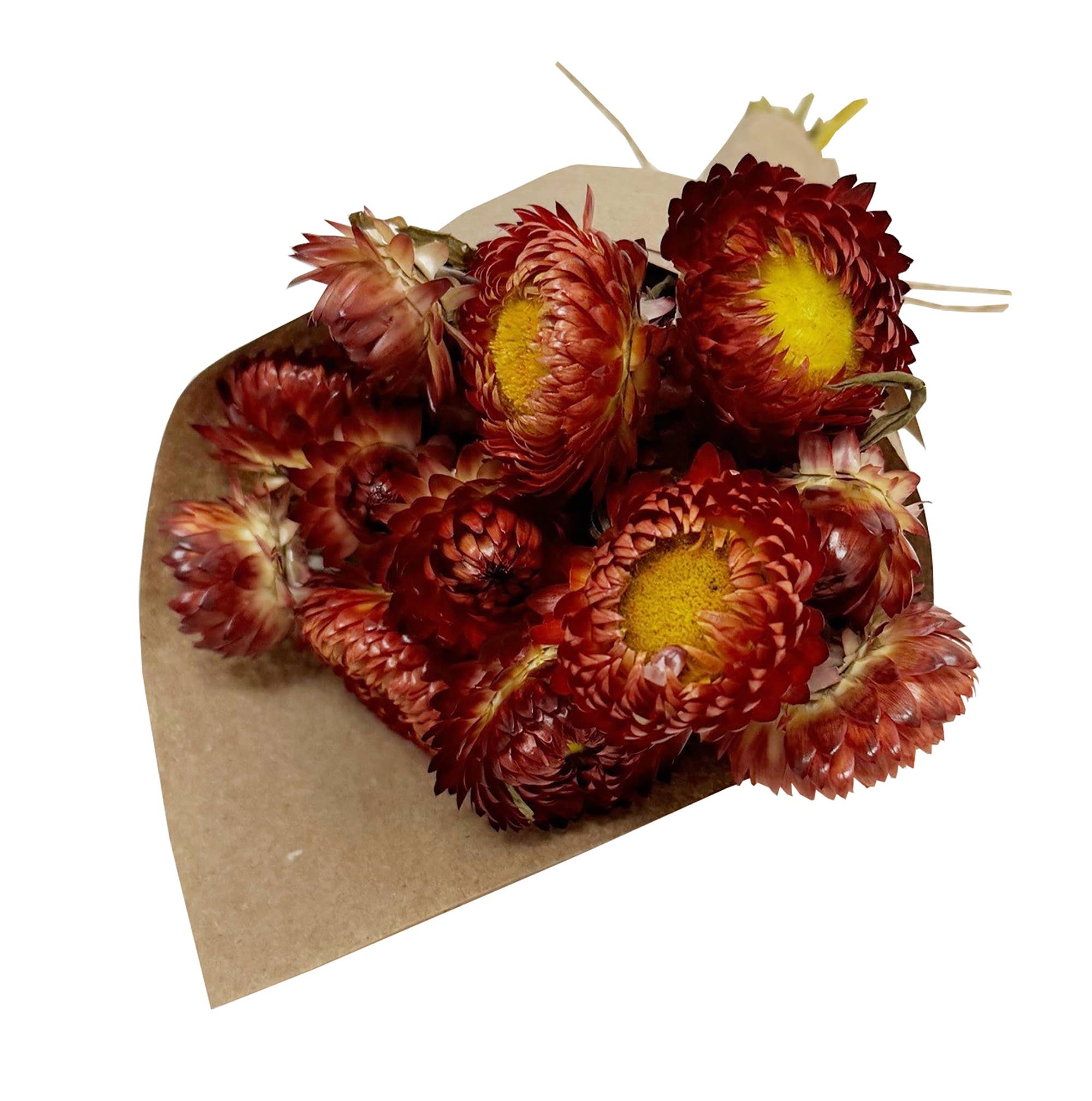 Mini Strawflower Bundle - Orange Artificial Flowers for Home Decor, Wedding Bouquets, and DIY Crafts