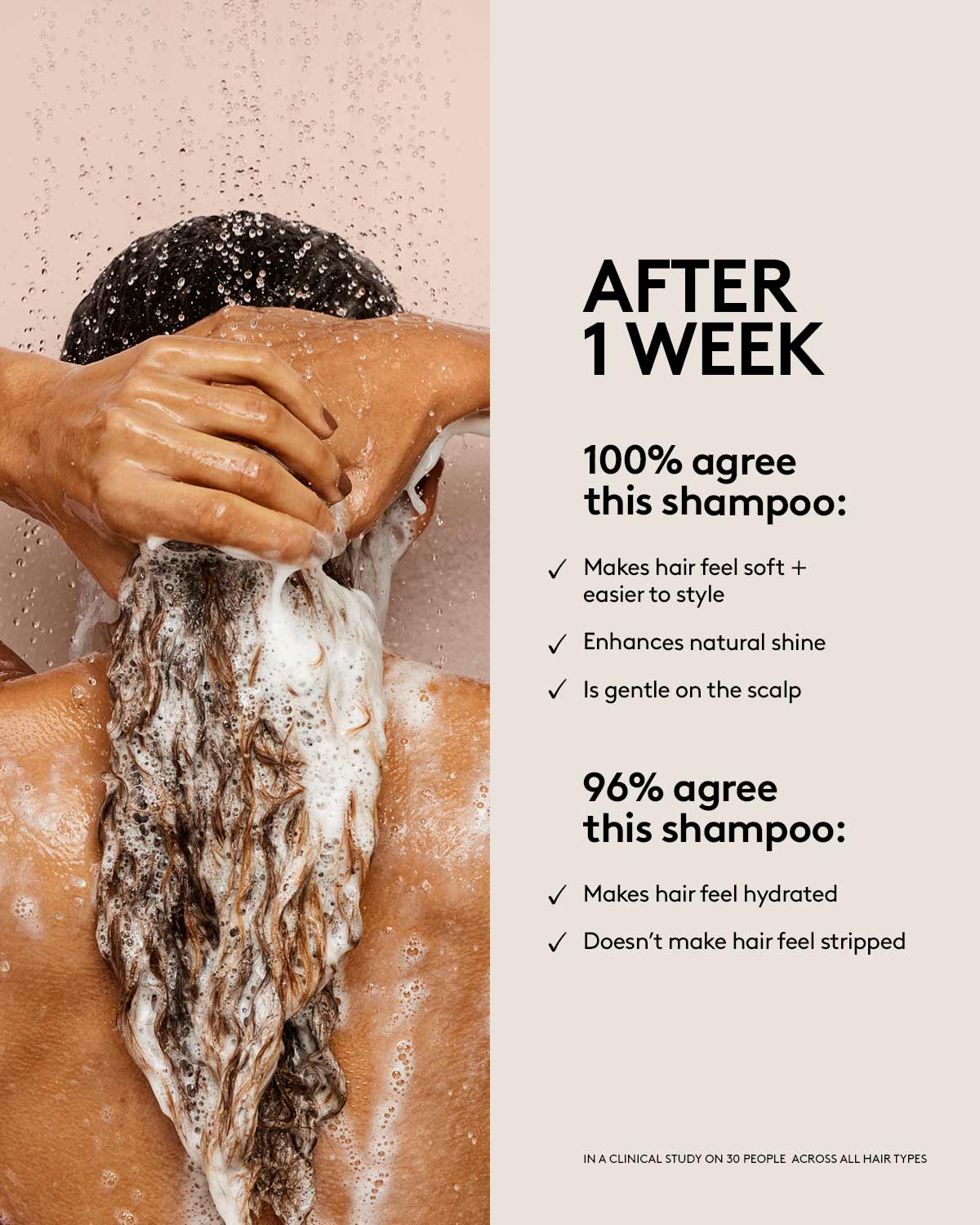 The Rich One Moisture Repair Shampoo for Dry Damaged Hair - Deep Hydrating & Nourishing Formula for Smooth Silky Hair - Perfect for Daily Use & Salon-Quality Results at Home