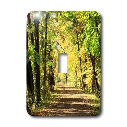 3D Rose Trees Path Canopy Green Yellow Brown Toggle Switch - Decorative Wall Switch Cover for Bedroom, Living Room, Kitchen & Office Decor
