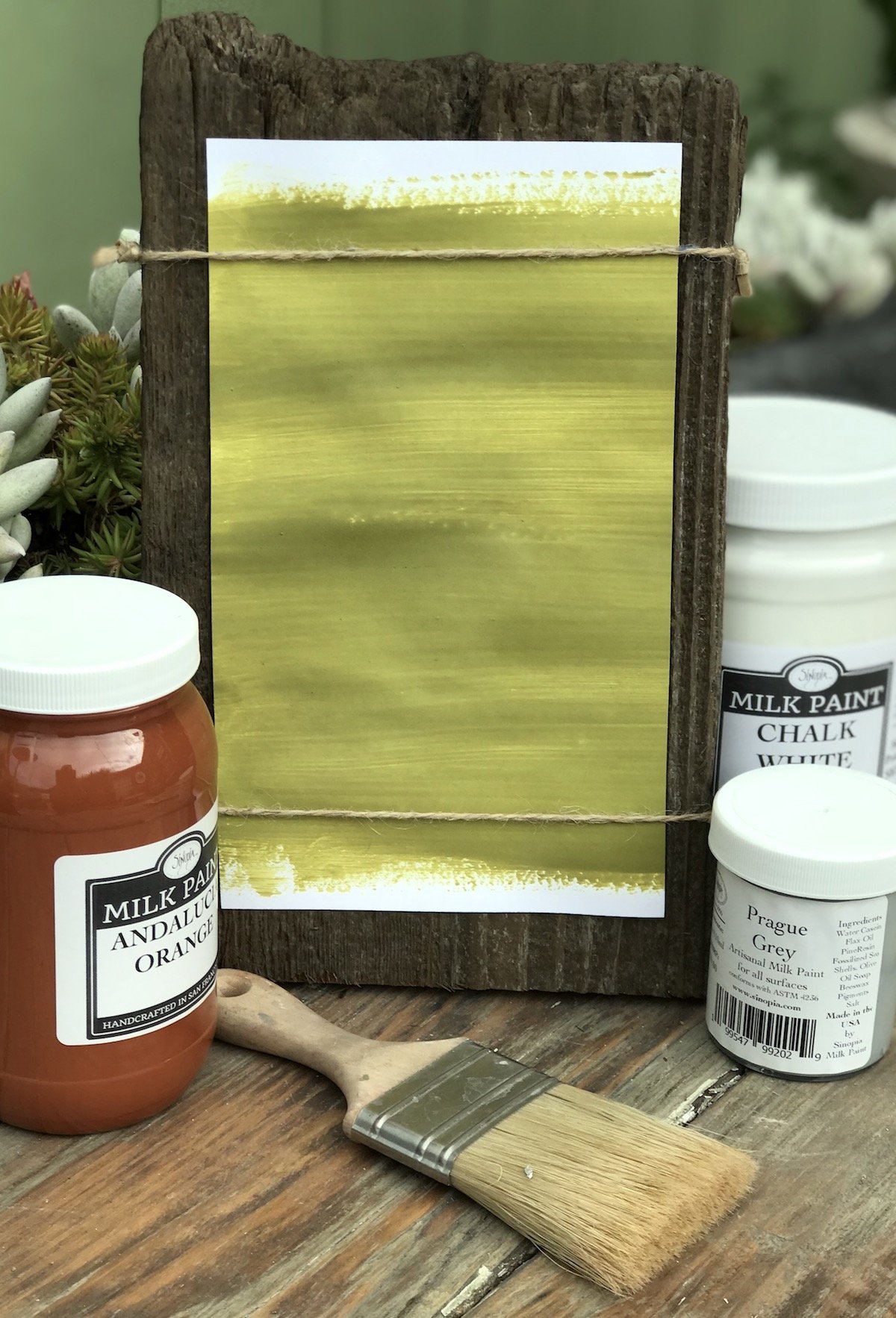 Sinopia All Natural Artisanal Milk Paint - Kotinos Green (1 Gallon) | Eco-Friendly, Non-Toxic Paint for Furniture, Cabinets & Home Decor