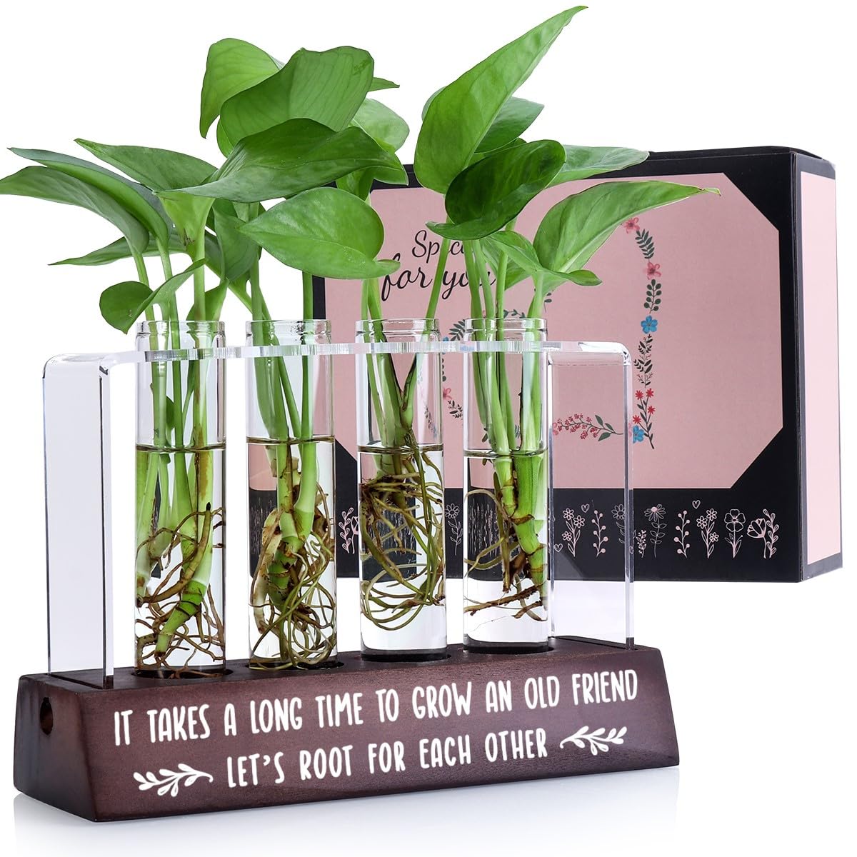 Best Friendship Gifts for Women - Unique Birthday Present for Best Friend, Long Distance Inspirational Gift Ideas for Her, BFF Desktop Plant Propagation Station - Perfect for Home Decor, Office Desk & Housewarming Gifts