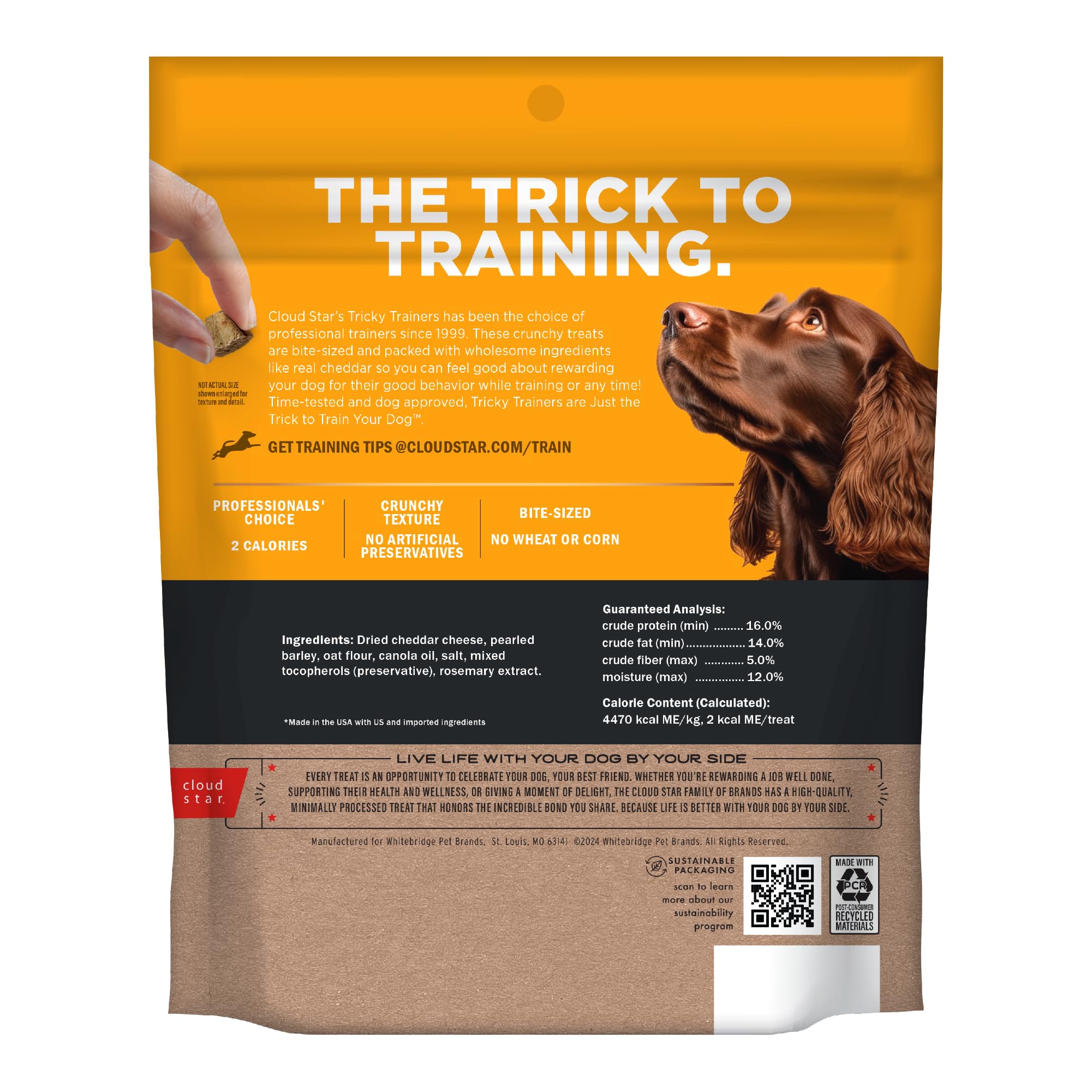 Cloud Star Tricky Trainers Crunchy Dog Training Treats - 8 oz Pouch, Cheddar Flavor, Low Calorie Behavior Reward with 450 Treats | Perfect for Obedience Training, Positive Reinforcement & Puppy Treats