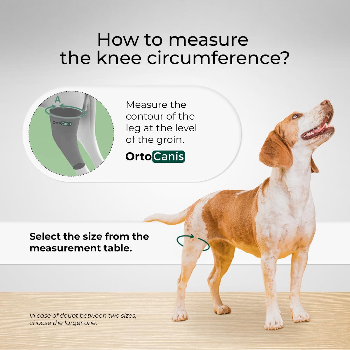 Ortocanis Dog Knee Brace for Torn ACL, Ligament Rupture & Patella Luxation - Adjustable Dog ACL Brace for Hind Leg Support - XXS Left Leg Dog Back Leg Brace - Perfect for Post-Surgery Recovery & Active Dogs