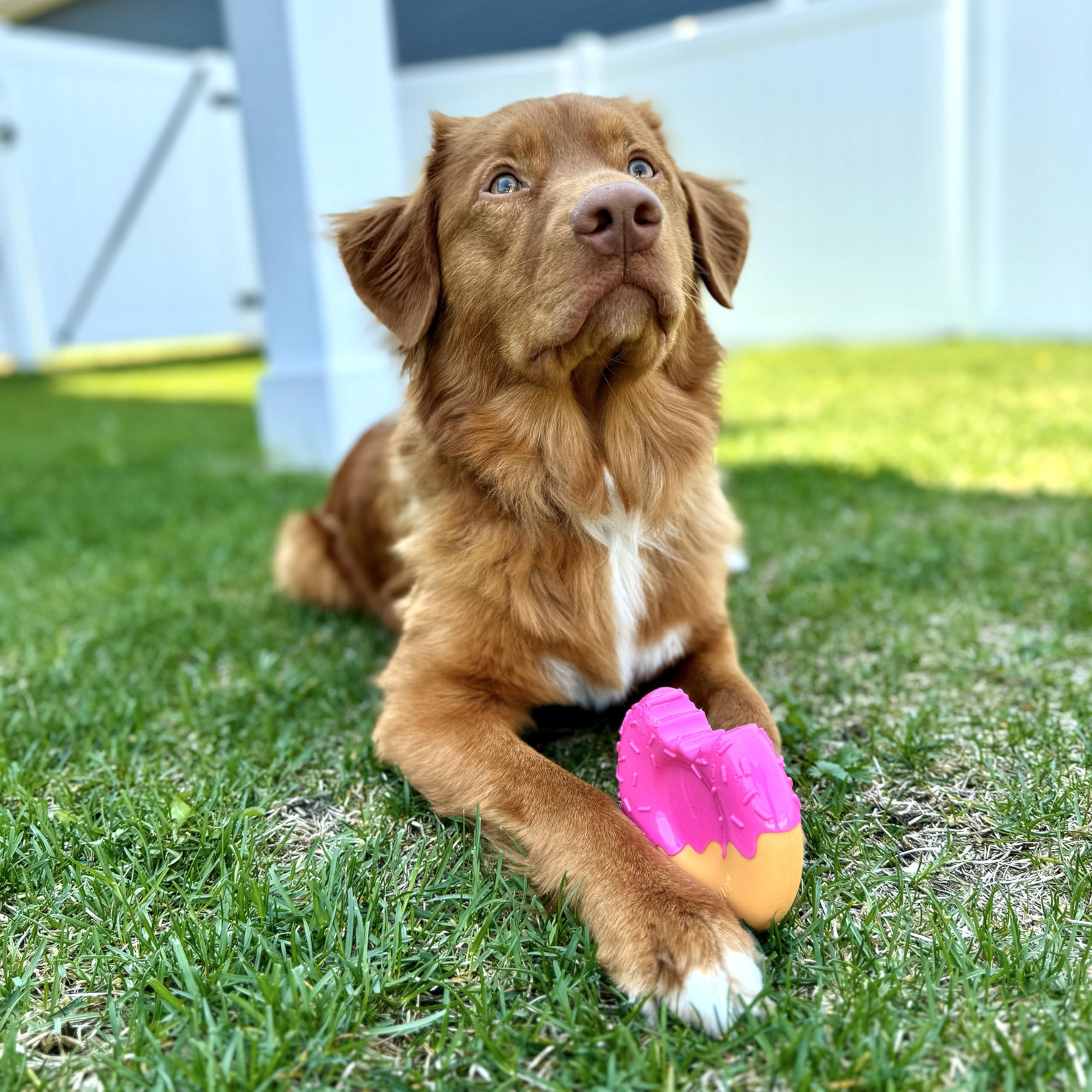 **Nylabone Power Chew Toy Bundle for Aggressive Chewers - Bacon, Marshmallow & Peanut Butter Flavored Dog Chew Toys for Large Dogs Up to 50 lbs (3-Pack) - Durable Chew Toys for Playtime, Training & Dental Health**