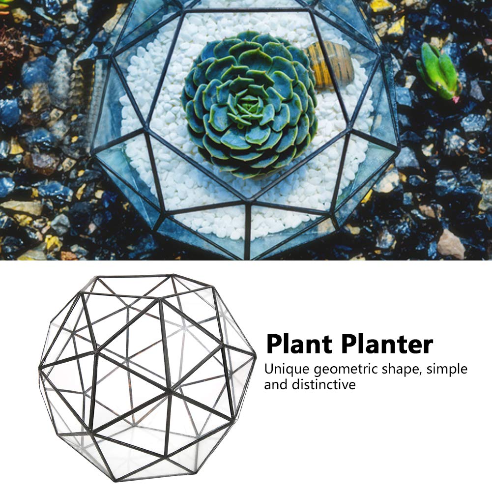 Geometric Glass Terrarium Planter for Air Plants & Succulents - Modern Miniature Fairy Garden Decor for Balcony, Tabletop & Indoor Display | Perfect for Home, Office & Wedding Centerpieces