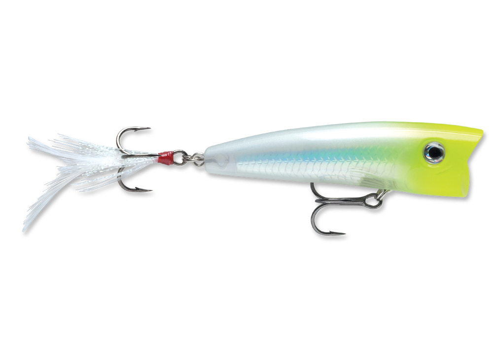 Rapala XRP07 X Ray Popper Fishing Lure - Topwater Bass Fishing Bait for Freshwater & Saltwater - Perfect for Early Morning & Late Evening Fishing Trips